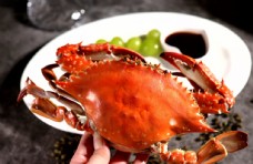 食材海鲜大闸蟹海鲜美食食材背景素材图片