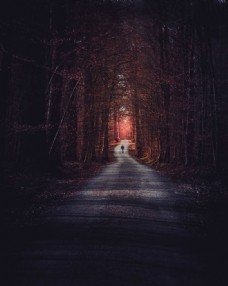 道路公路夜晚森林背景海报素材图片