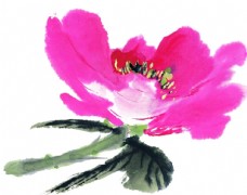 中华文化国画牡丹图片