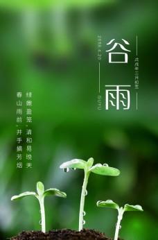 传统节气民间节气谷雨文化海报图片