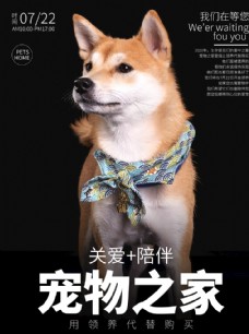 
                    关爱宠物社会公益宣传海报素材图片
