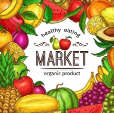 牛油果彩绘水果市场海报图片