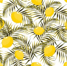 柠檬热带树叶矢量分层图片