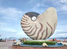 度假三亚海螺图片