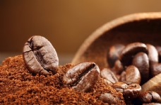 咖啡豆咖啡粉饮品背景海报素材图片