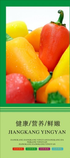 绿色蔬菜蔬菜海报蔬菜挂图蔬菜促销图片
