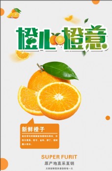 香水橙子海报图片