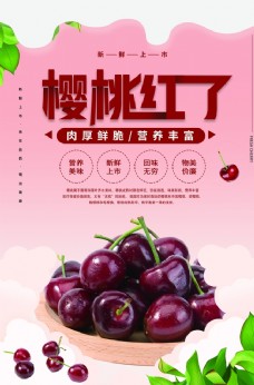 樱桃水果果实活动宣传海报素材图片