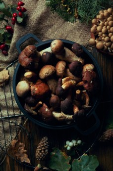 美食素材蘑菇香菇食材美食背景海报素材图片