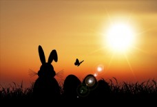 兔子和彩蛋剪影图片