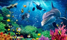 海景海洋世界海豚背景墙图片
