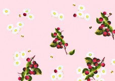 小菊花樱桃图片