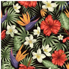 花纹背景热带植物花卉背景底纹图片