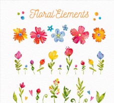 彩绘花卉和叶子图片