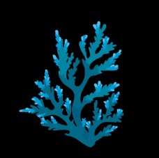 其他生物蓝色珊瑚图片