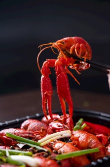 美食素材麻辣龙虾美食食材海报素材图片