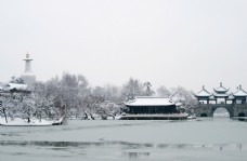 雪后五亭桥图片