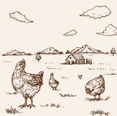 礼盒鸡卡通鸡鸡肉鸡蛋手绘鸡图片