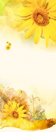 鸟向日葵背景图片