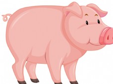 果蔬猪手绘猪卡通猪图片