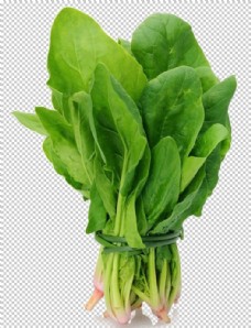 绿色蔬菜菠菜图片