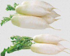 绿色食品白萝卜图片