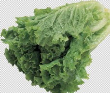 健康饮食蔬菜图片