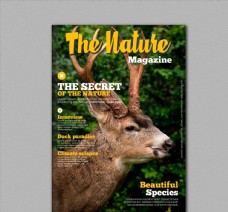 自然杂志封面图片