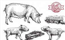 猪饲料手绘猪设计矢量图片