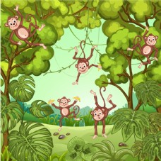 树木丛林里的猴子图片