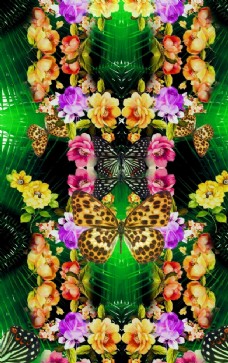 热带花图片