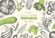 绿色蔬菜矢量蔬菜背景图片