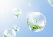 发芽环保气泡图片