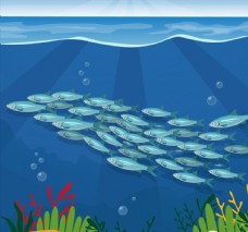 美丽海底银色鱼群图片