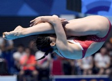女子运动女子跳水运动员图片