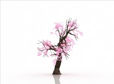 树木桃花树桃花装饰画3D立体图图片