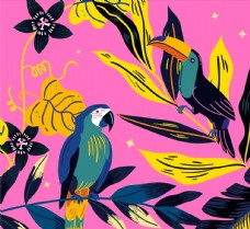 树木热带鹦鹉和大嘴鸟图片