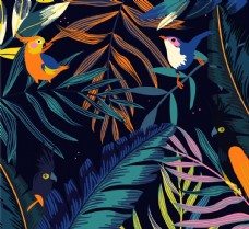 美丽热带花鸟背景图片