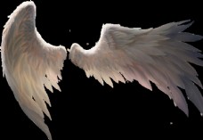 天使翅膀白色纯洁PNG图片