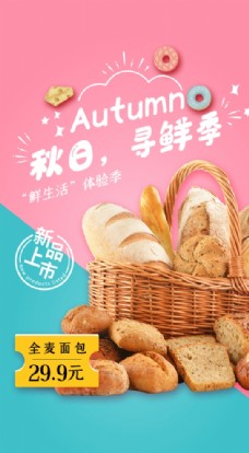 小清新秋日马卡龙色甜点全麦面包图片