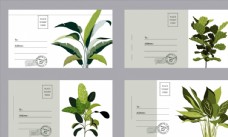 绿色植物明信片图片
