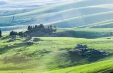风景桌面新疆天山牧场图片