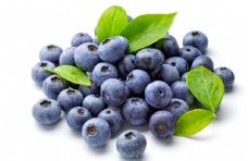 水果海报蓝莓水果果实背景海报素材图片