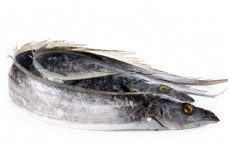 食材海鲜带鱼海鲜美食食材背景海报素材图片