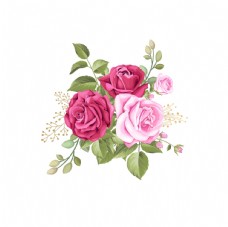 花纹背景电脑绘画玫瑰花矢量素材图片