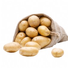 马铃薯一袋土豆图片