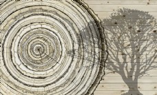 抽象树圆圈背景墙图片