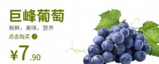 葡萄葡萄海报水果海报图片