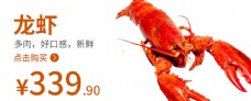 龙虾海鲜龙虾海报食品图片