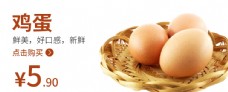 鸡蛋鸡蛋海报食品类图片